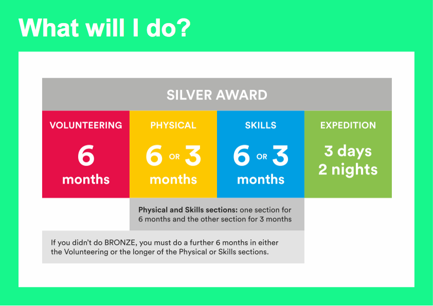What will I Do - Silver